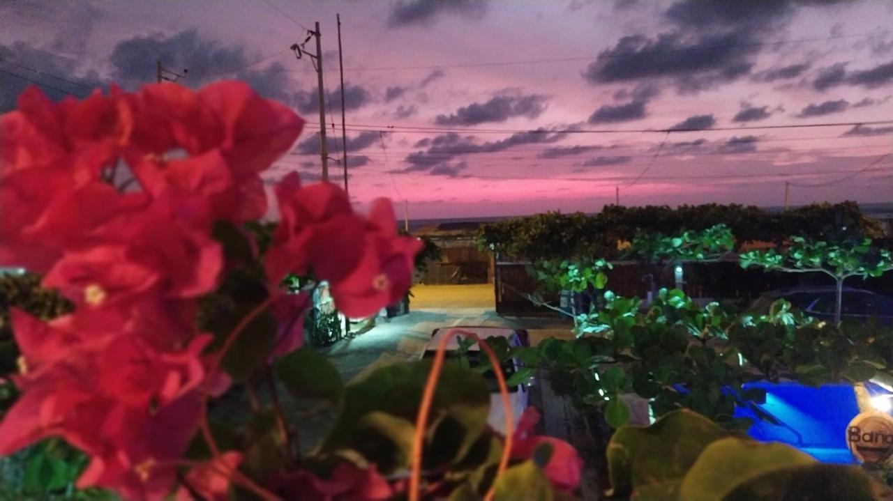 Canoamar Dış mekan fotoğraf